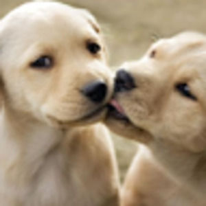 Meet your Posher, Gemma